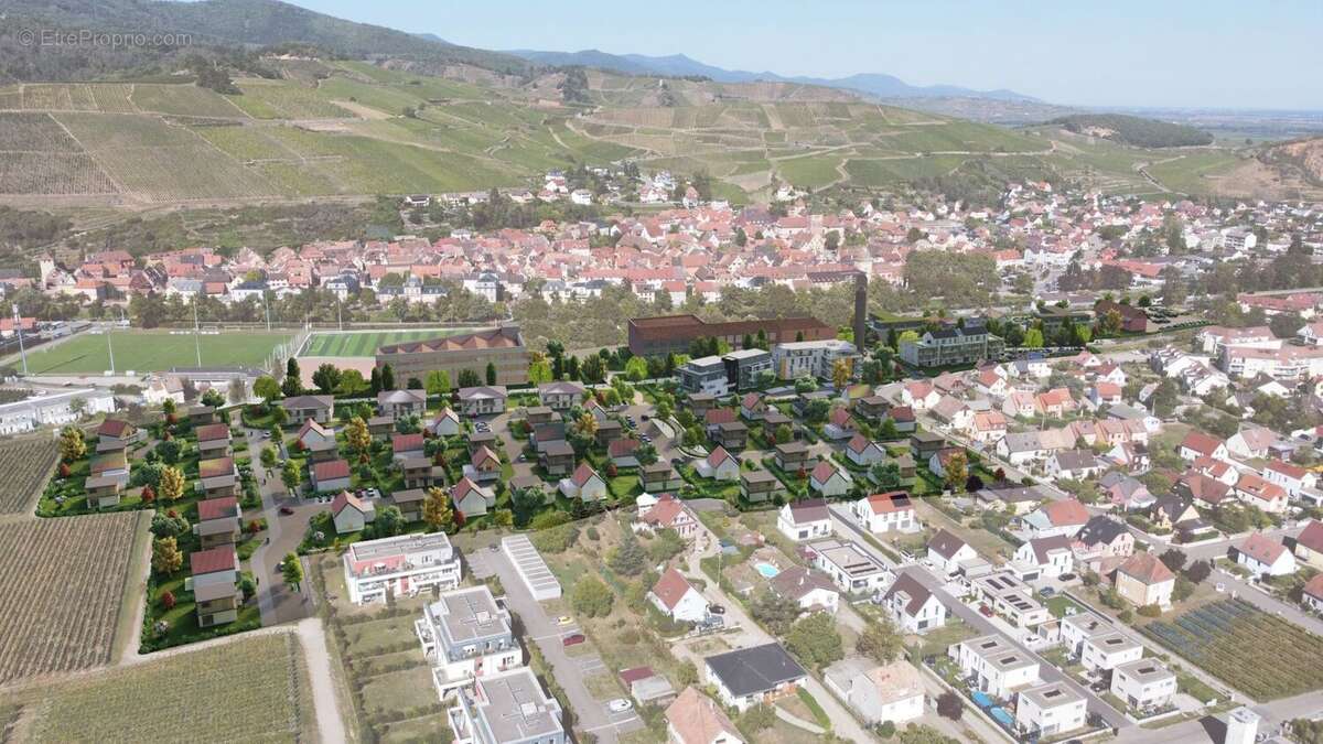 Terrain à TURCKHEIM