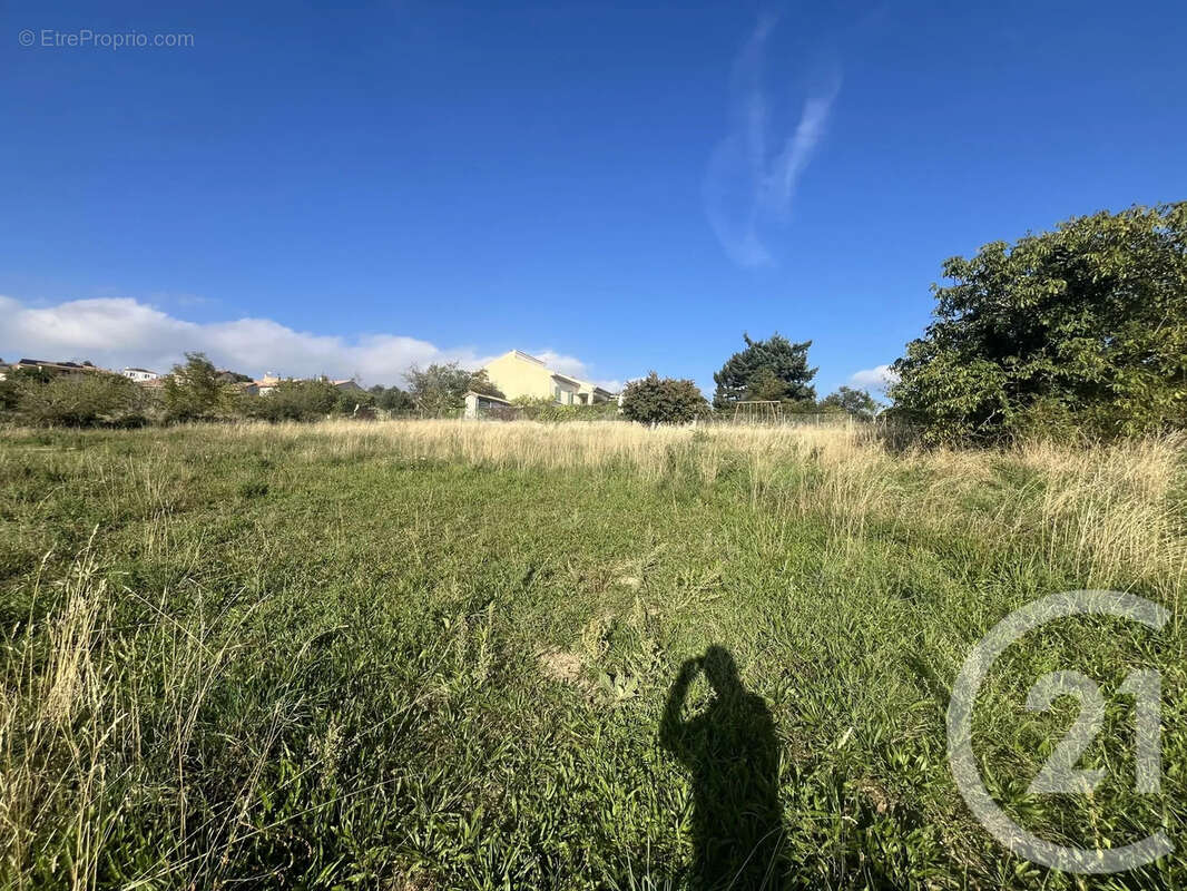 Terrain à SAINT-CLAIR