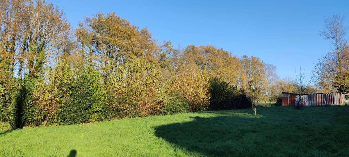 Terrain à VIGNEUX-DE-BRETAGNE