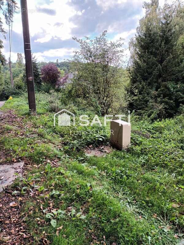 Photo 3 - Terrain à HOMBOURG-HAUT