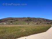 Terrain à GIOU-DE-MAMOU