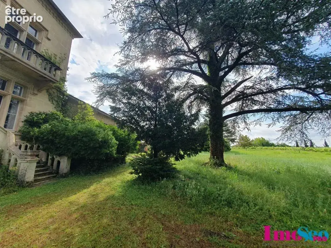 Domaine viticole à vendre - photo 2