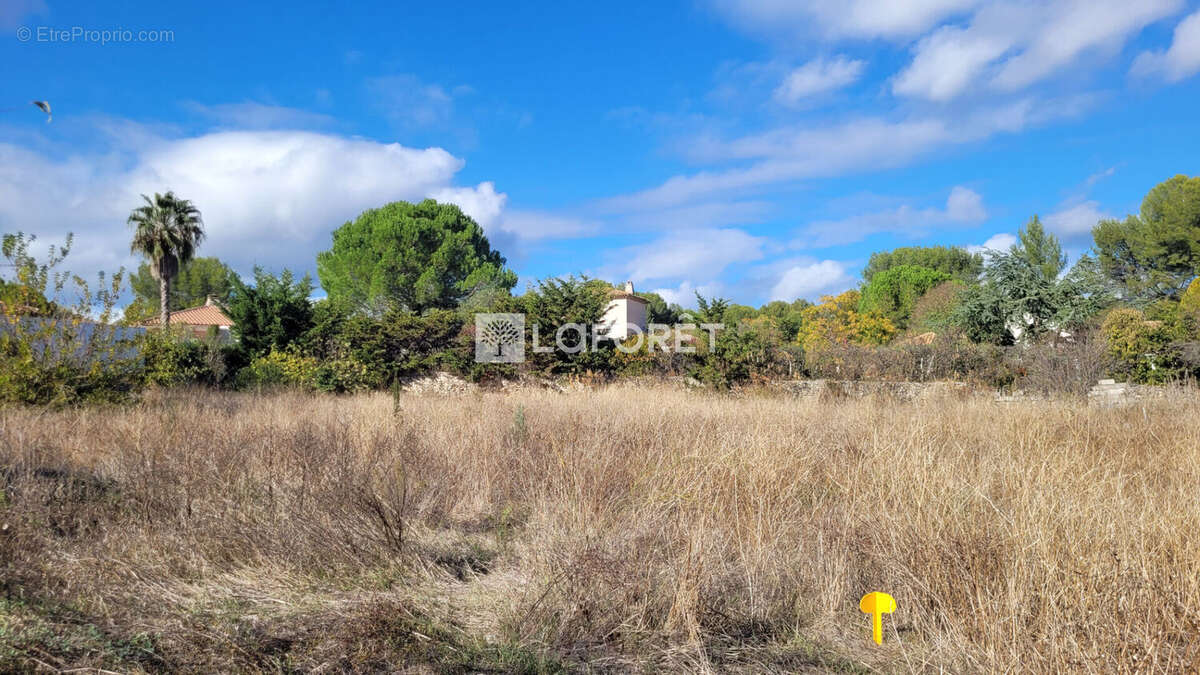Terrain à CASTELNAU-LE-LEZ