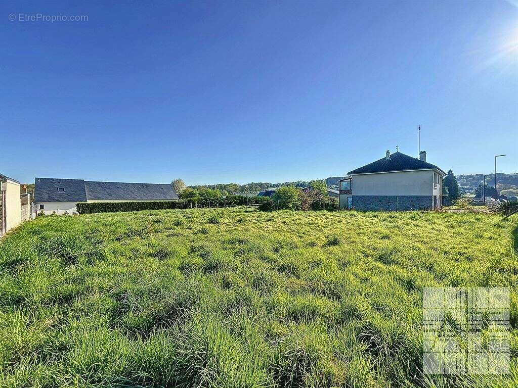 Terrain à CHAILLAND