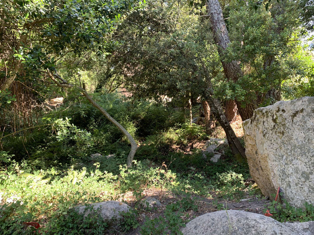 Beaucoup de cachet pour ce terrain à bâtir à proximité de Porto-Vecchio - photo 6