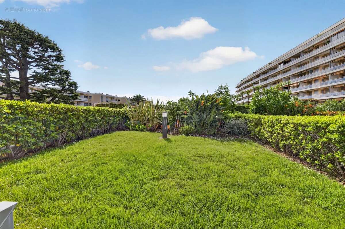 Basse californie. appartement/terrasse - photo 6