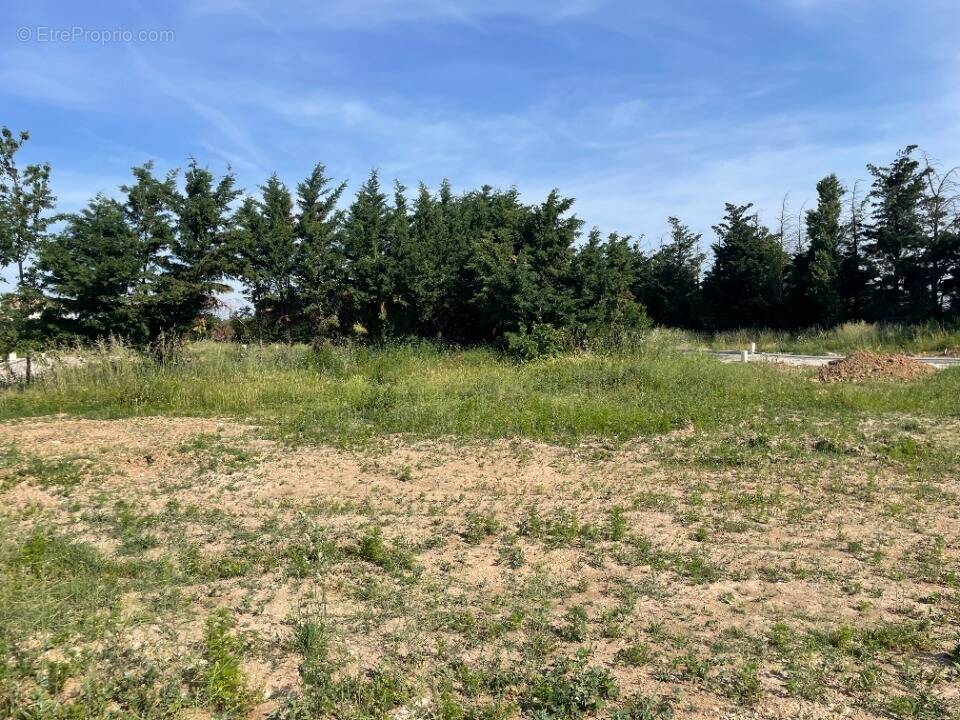 Terrain à SAINT-MARCEL-LES-VALENCE