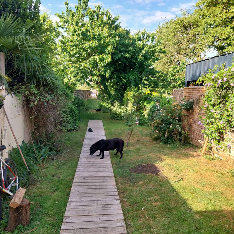 Maison à VILLENEUVE-D&#039;ASCQ