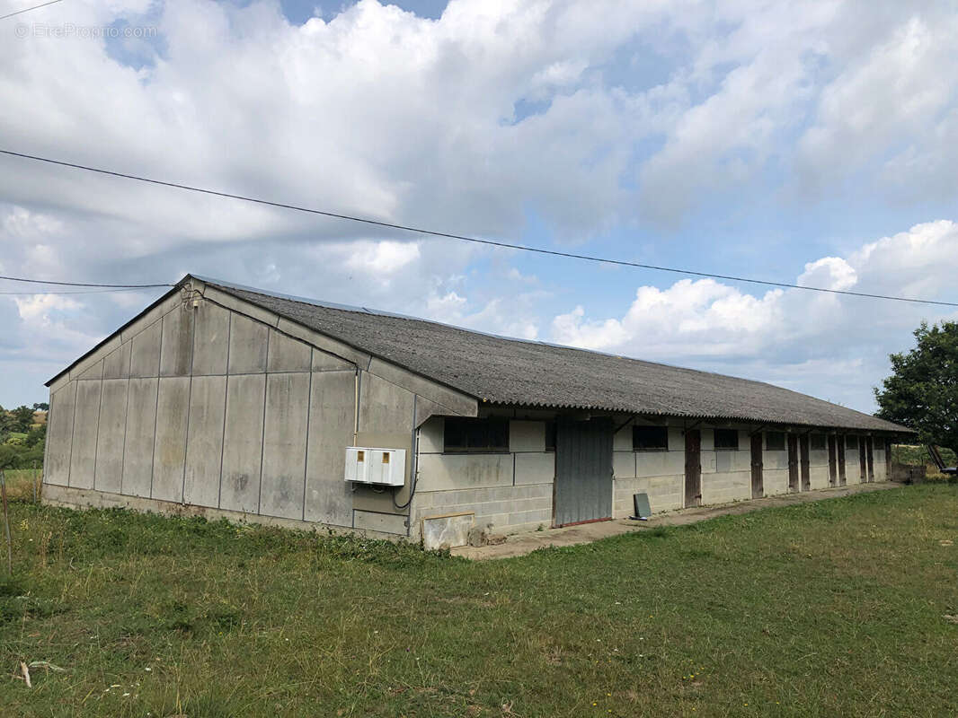Entrepôt / Local industriel 385m² à vitré - photo 2