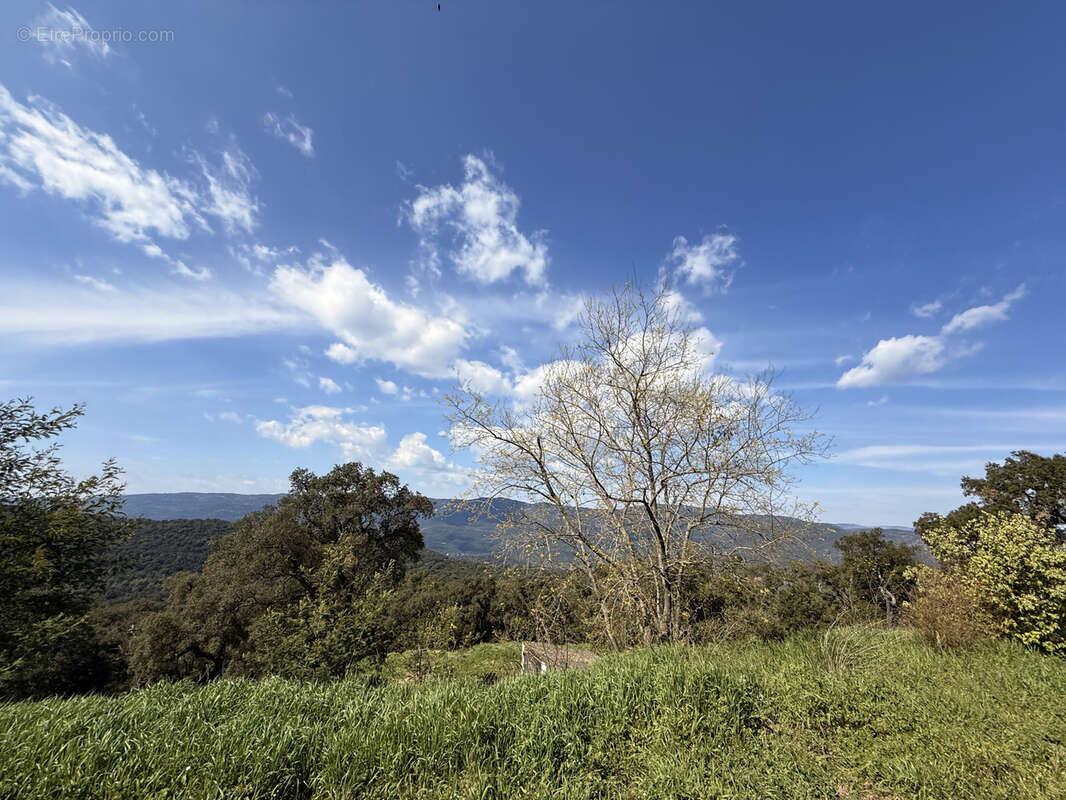 Maison à LE LAVANDOU