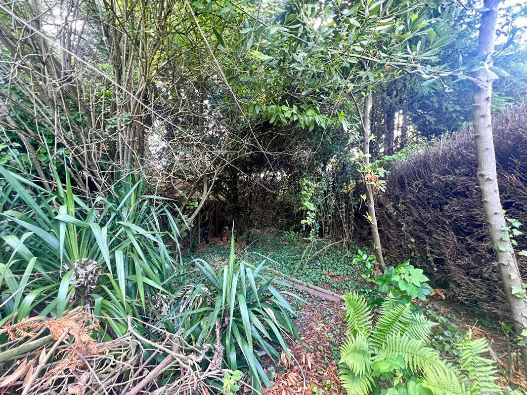 Maison Sèvres 4 pièces - 78,19 m2 - photo 12