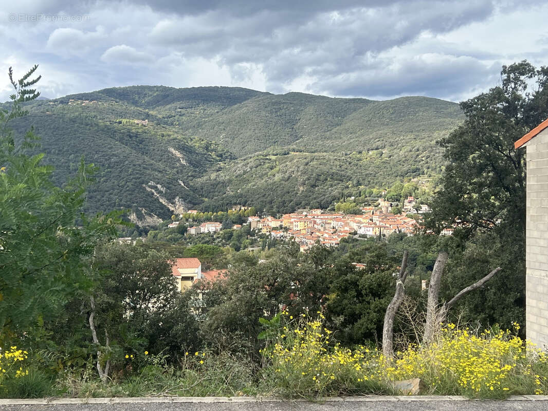Terrain à AMELIE-LES-BAINS-PALALDA