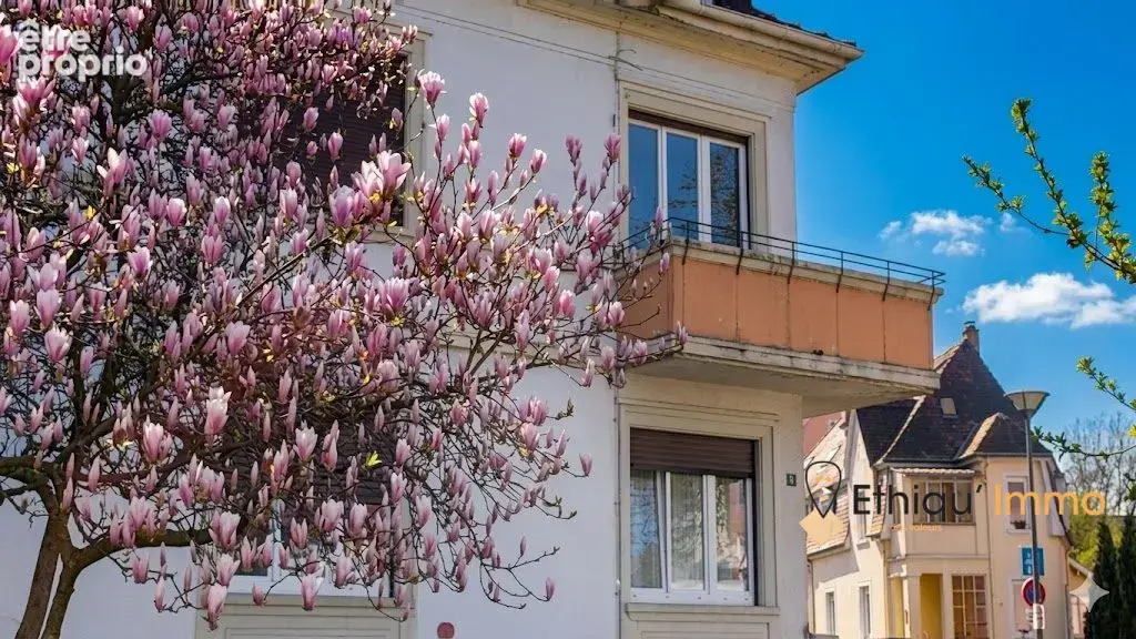 Appartement 195 m² à vendre à Schiltigheim (67300) - photo 2