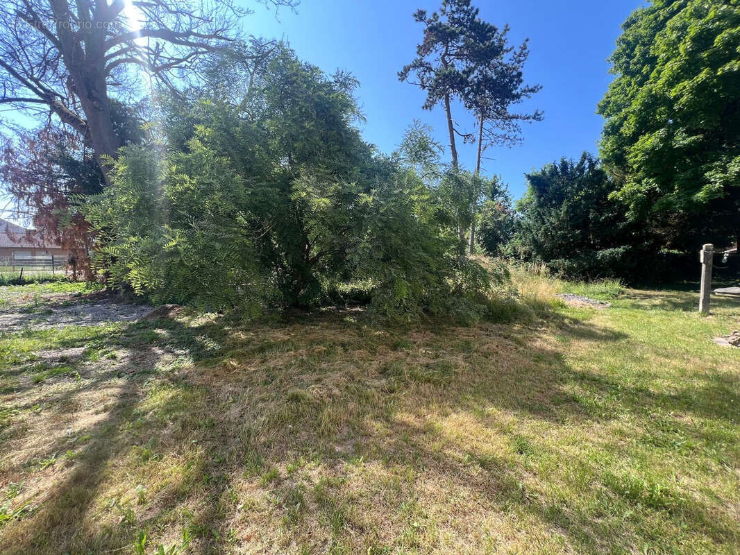 Terrain à SAINT-PARRES-LES-VAUDES