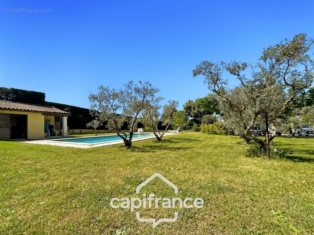 LES TAILLADES, maison individuelle de plain pied  de 210 m2, en campagne,  4 chambres, sur un terrain de 2900 m2 environ, piscin - photo 8
