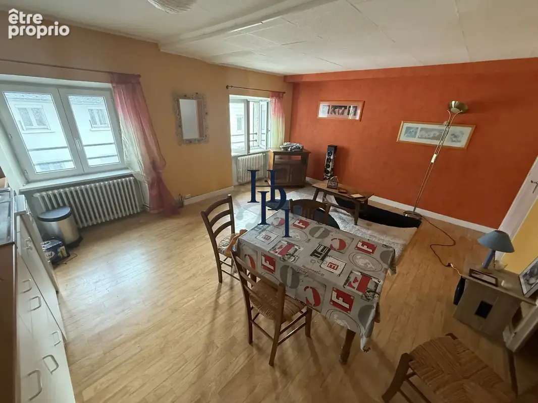 Vente immeuble avec fonds de commerce et deux appartements Lacaune - photo 14