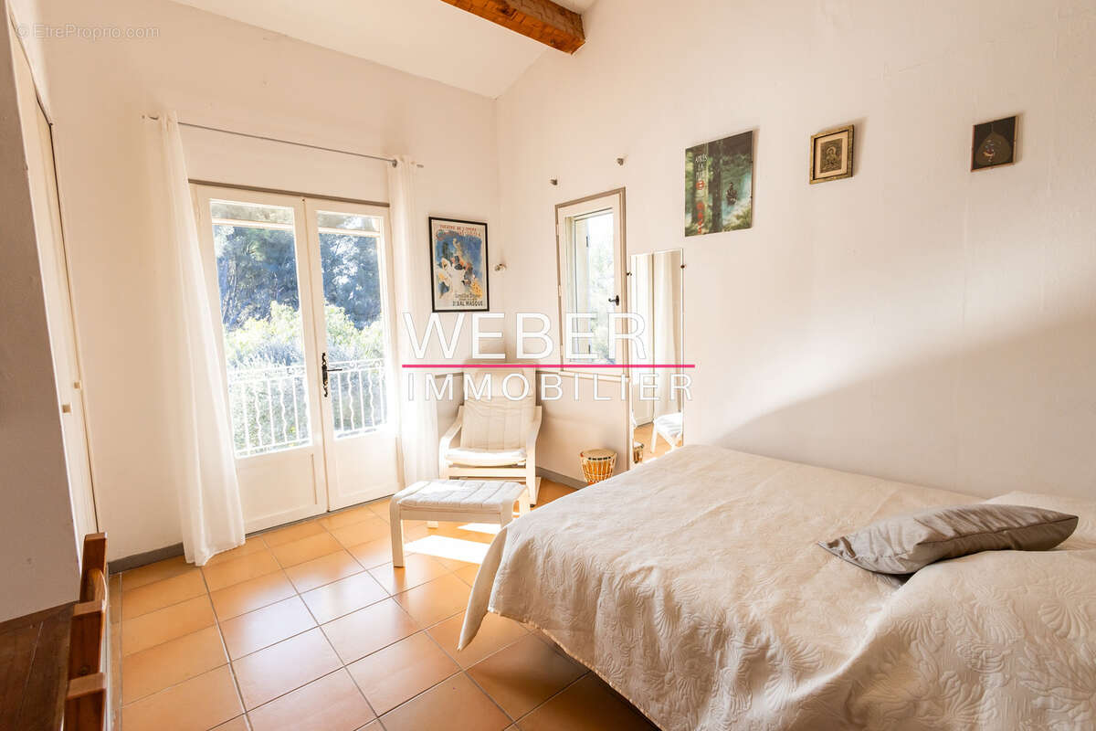 - ollioules - gros cerveau - maison 140 m2 + 2 appartements independants + 2800 m2 terrain - photo 8