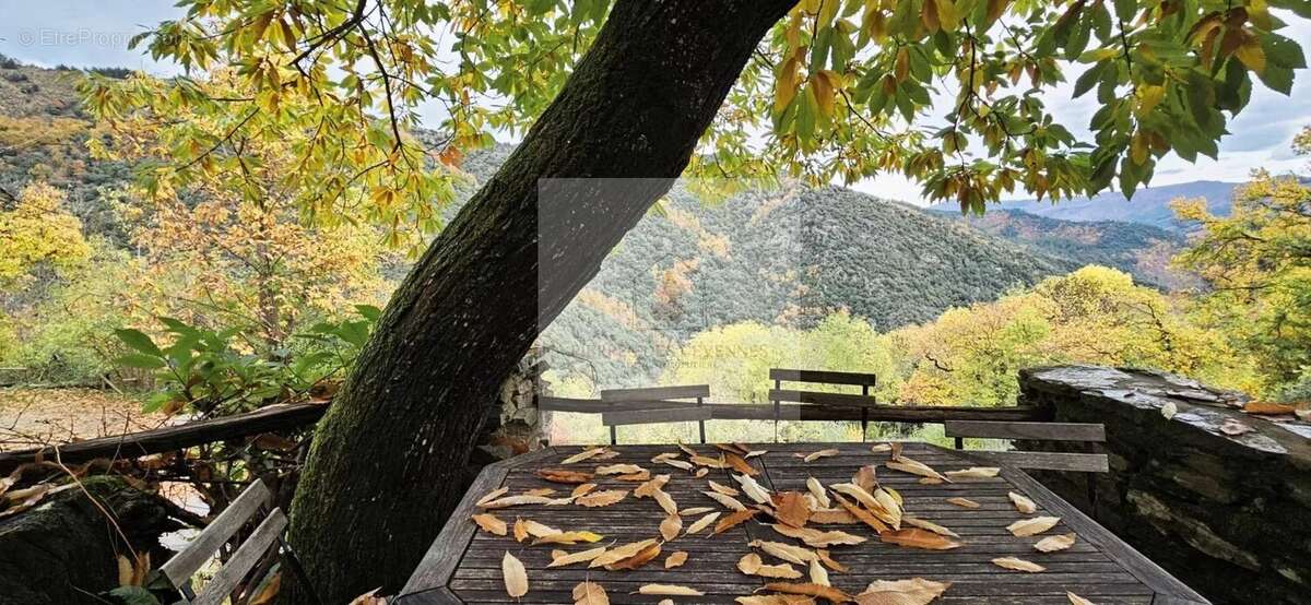 Maison à SAINT-ANDRE-DE-LANCIZE