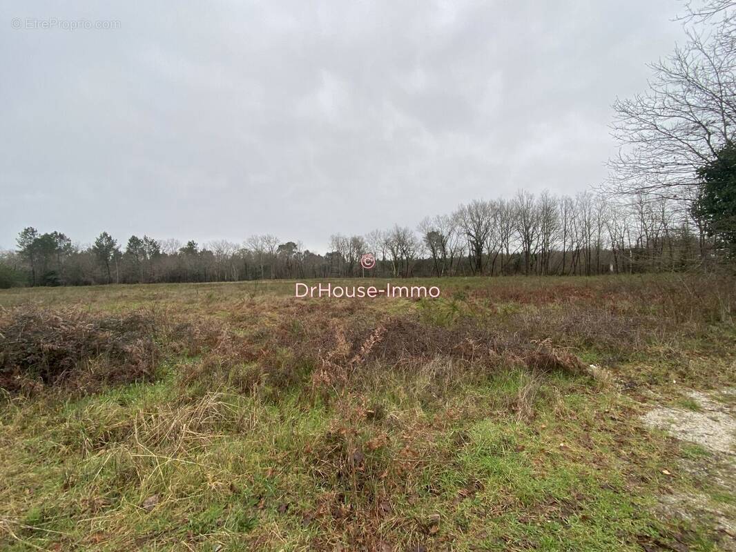Terrain à SAINT-MEDARD-EN-JALLES