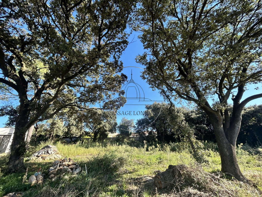 Terrain à SAINT-BRES