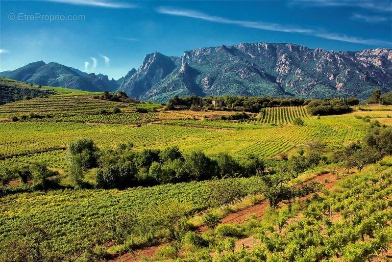 Terrain à SAINT-CHINIAN