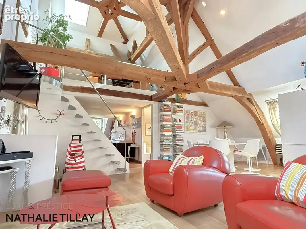 Appartement esprit loft, a vendre, Face Loire Orleans, dernier etage en hotel particulier - photo 5