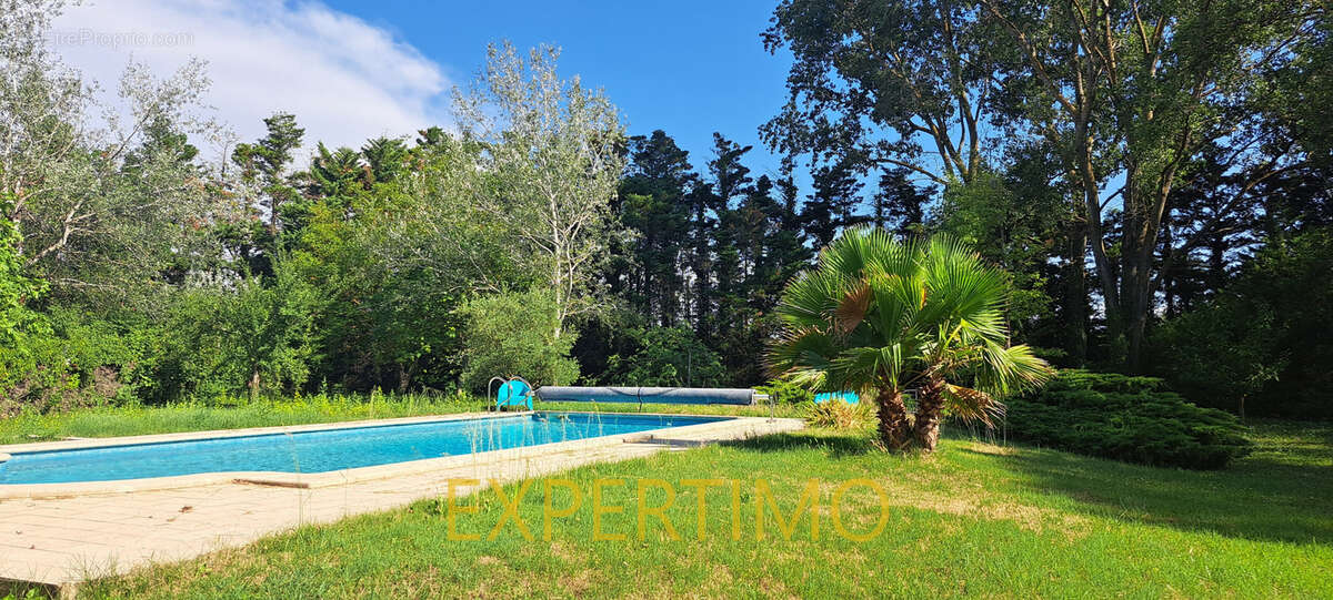 Villa 4 chambres sur grand terrain, au calme absolu. - photo 2