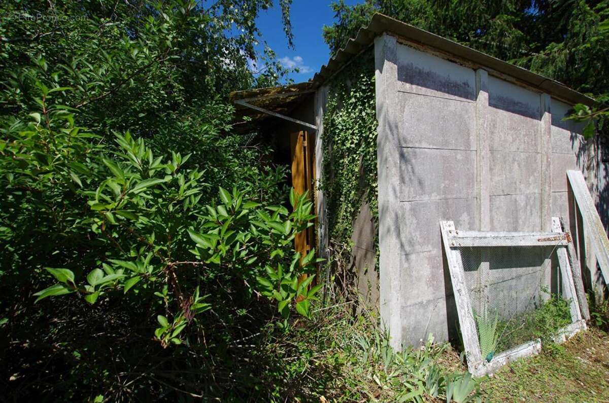 Terrain à CHATEAU-RENARD