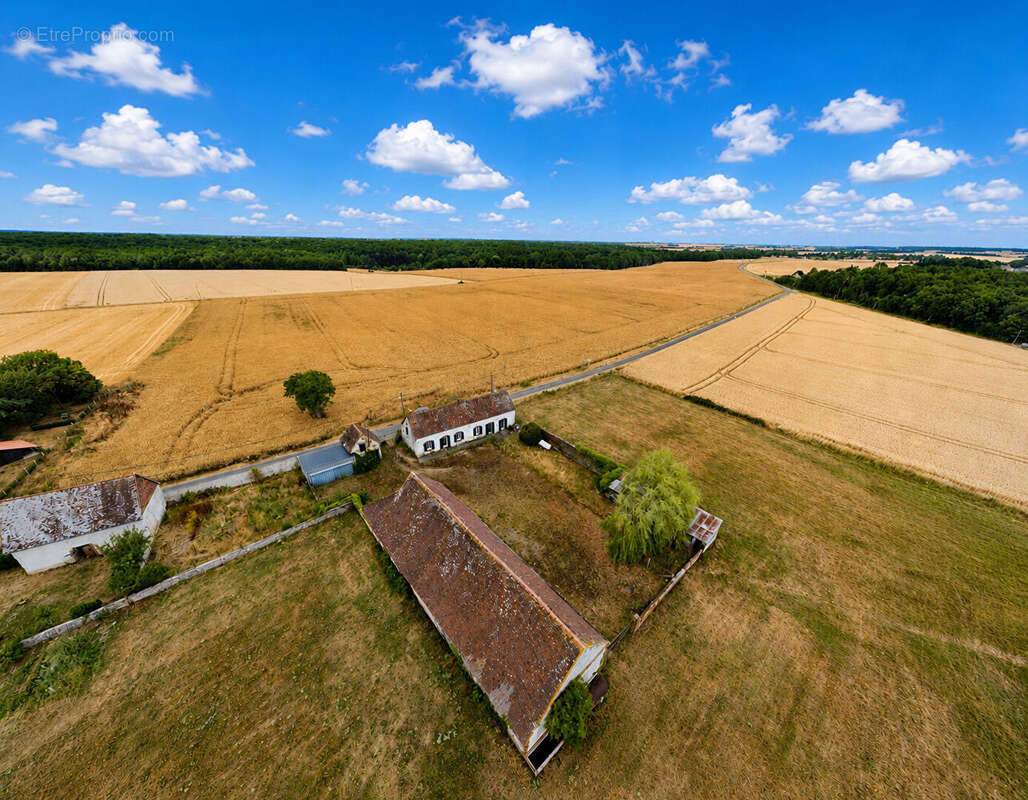 10 min agence corps de ferme avec grange sur 10500m² - photo 16