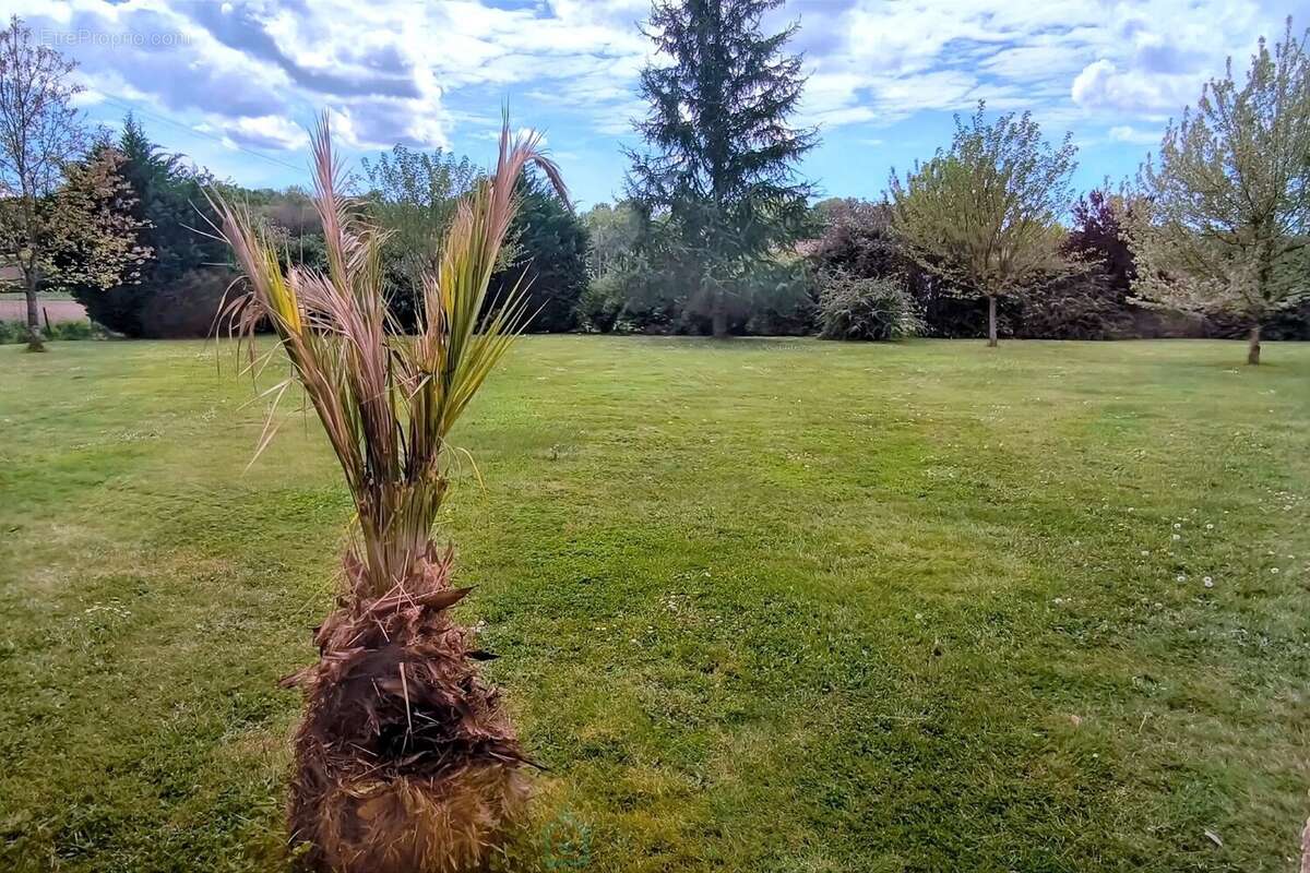 Maison à SAINT-AGNE