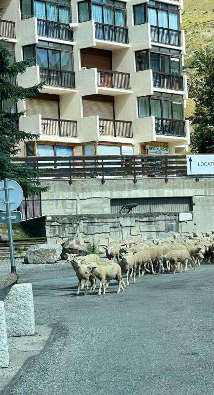 Appartement à ORCIERES