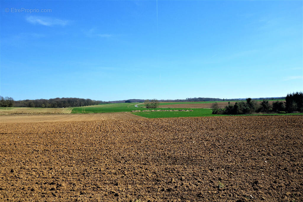 Terrain à EMEVILLE