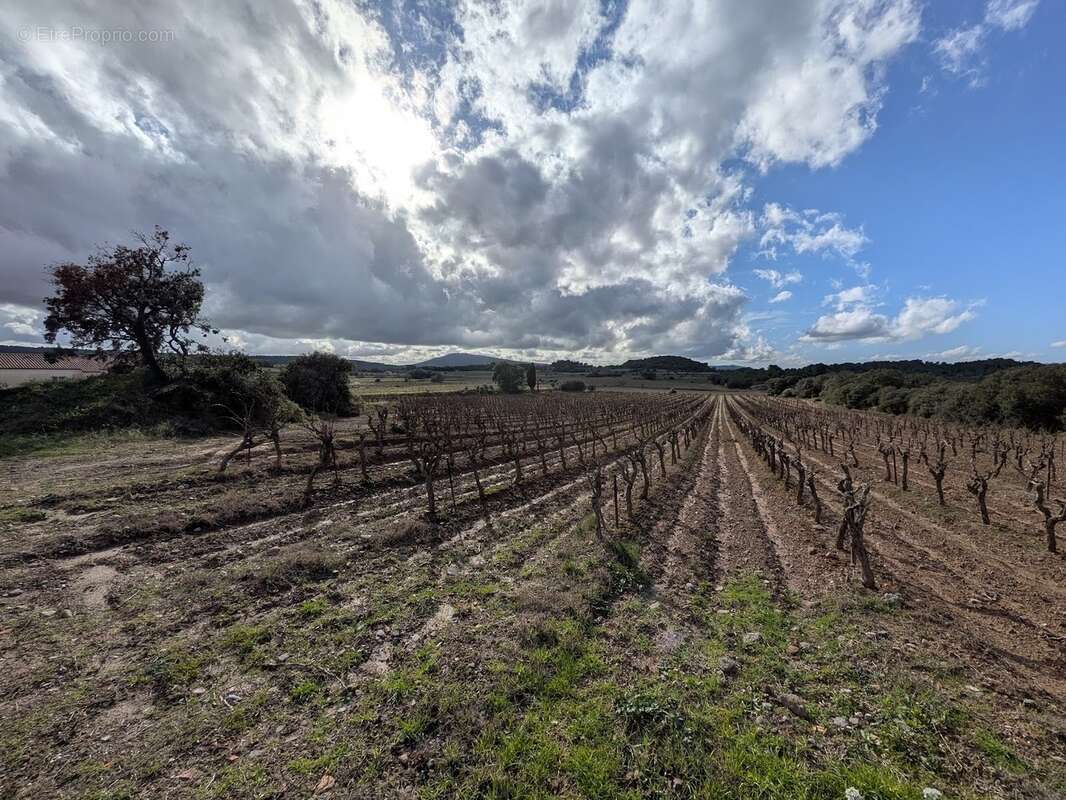 Terrain à ESCALES