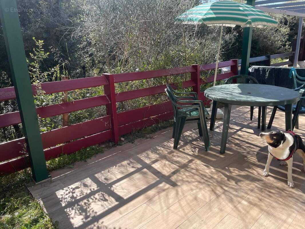 Photo 2 - Maison à VALLAURIS