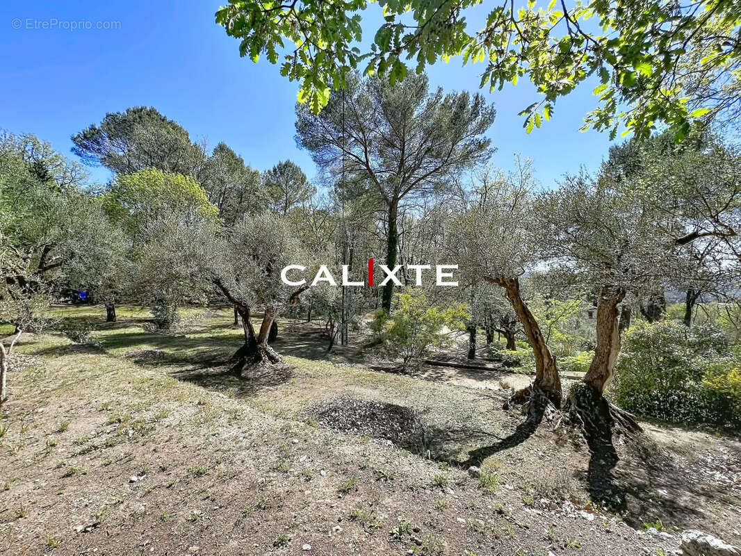 Maison à MONTAUROUX