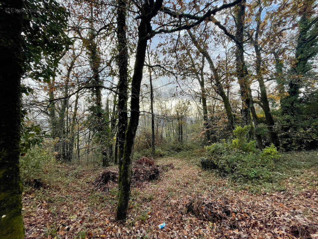 Terrain à BRIVE-LA-GAILLARDE
