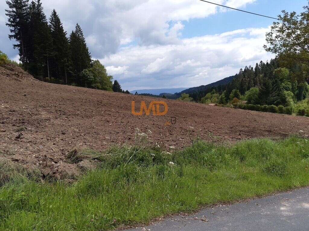 Terrain à LE MONESTIER