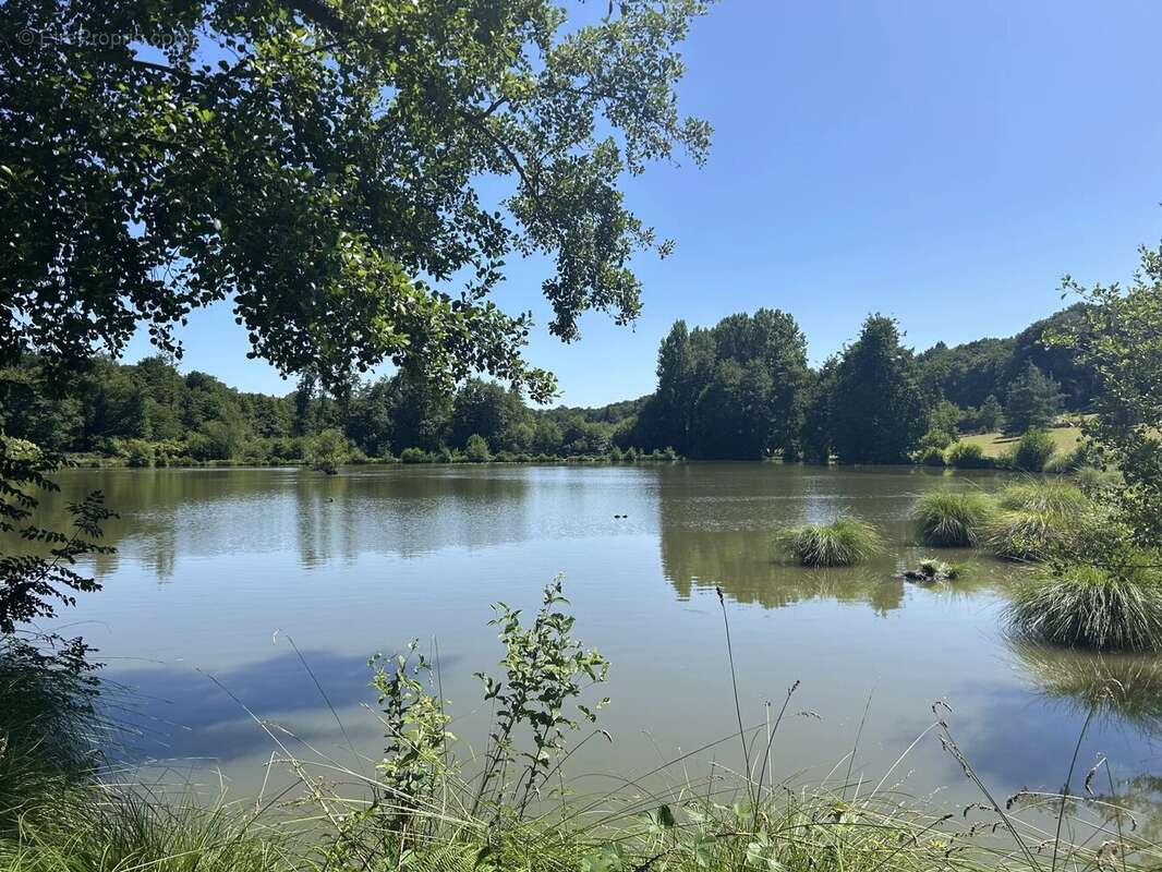 Maison à MORTAGNE-AU-PERCHE