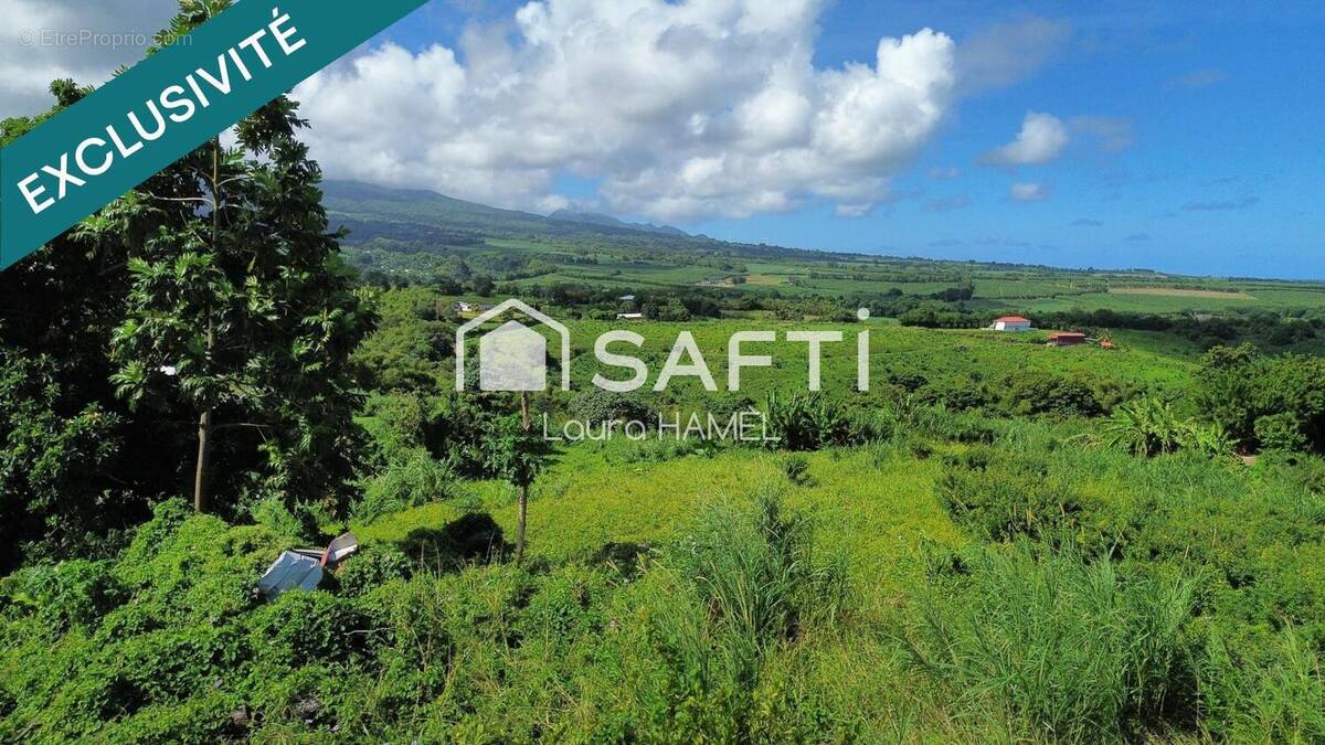 Photo 1 - Terrain à LE LORRAIN