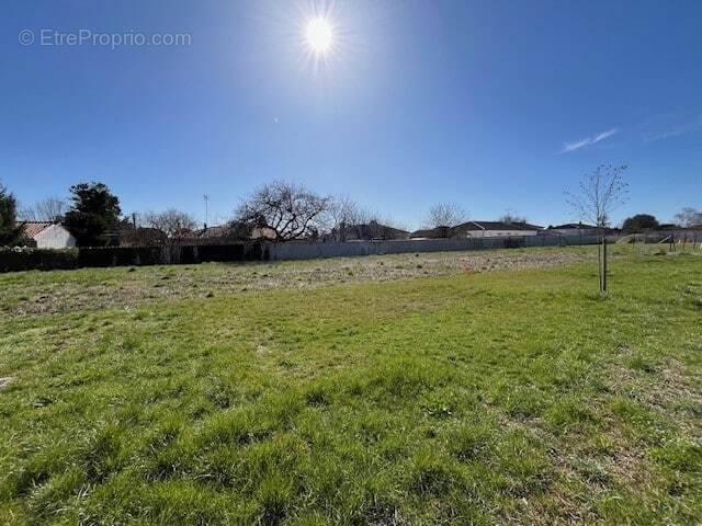 Terrain à CHATEAUBERNARD