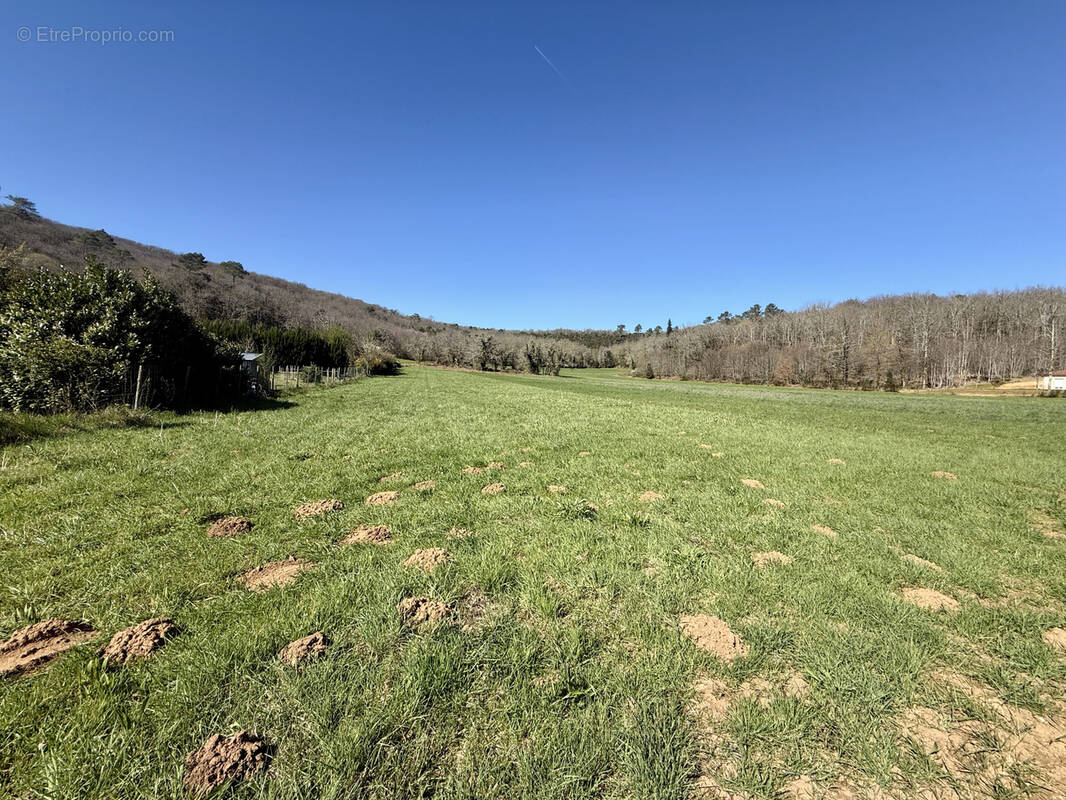 Terrain à SAINT-VINCENT-LE-PALUEL
