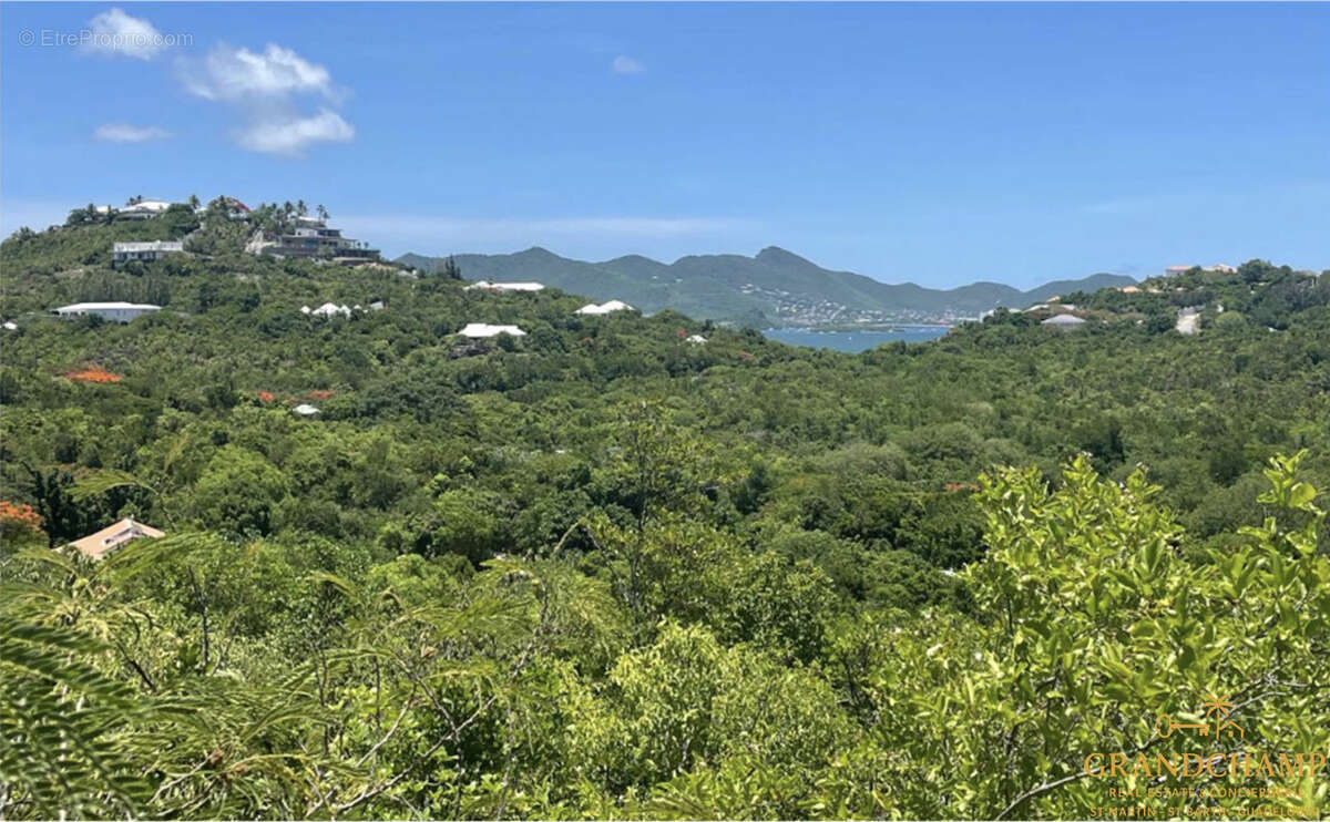 Terrain à SAINT-MARTIN