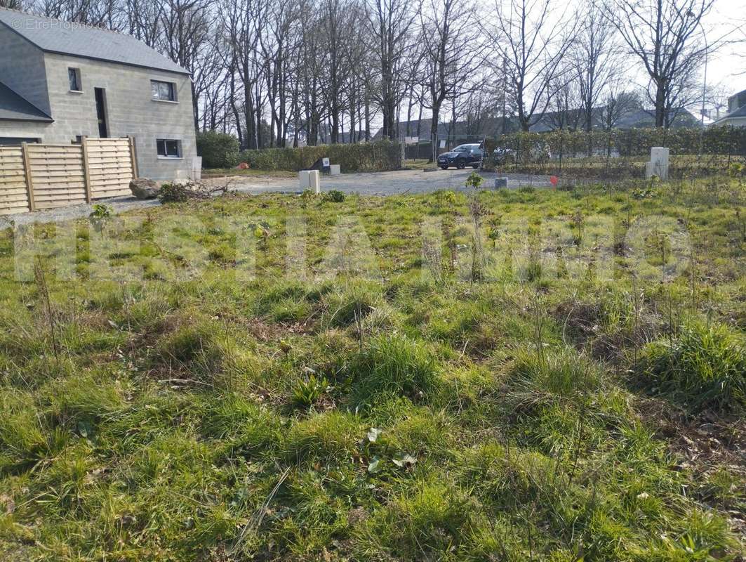 IMG_20230303_141733 - Terrain à ORVAULT