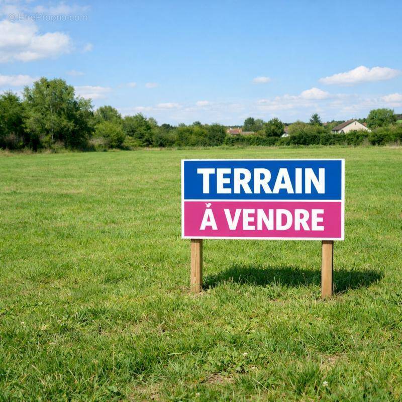 Terrain à CHALEIX