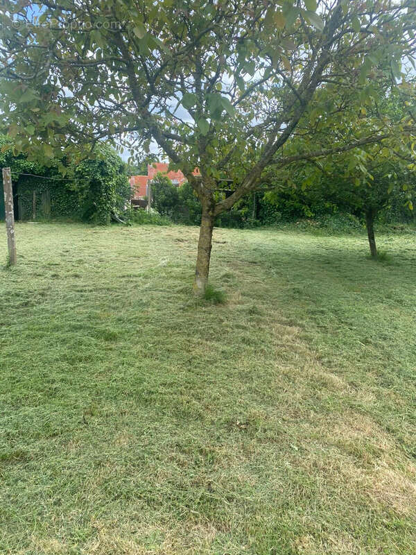 Terrain à BOURGNEUF-EN-RETZ