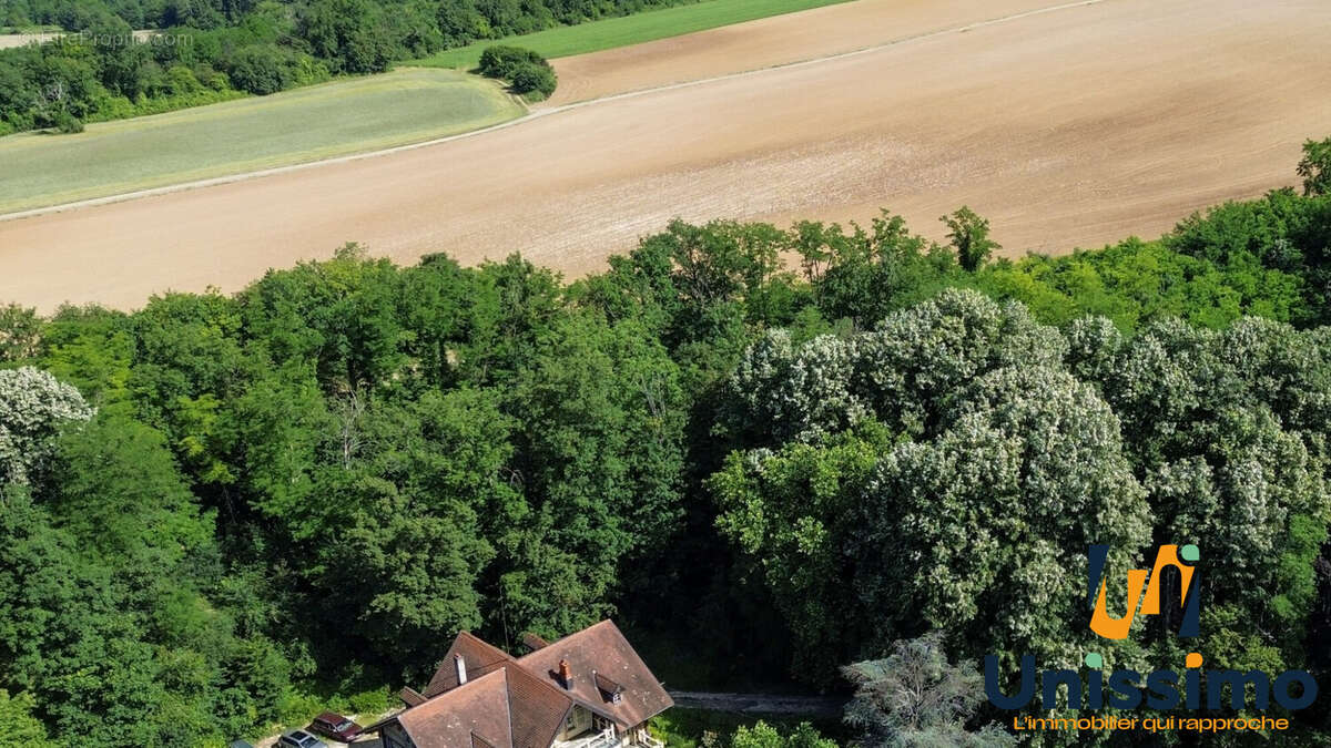 Terrain 2908 m² à L'isle-Sur-Le-Doubs  - photo 3