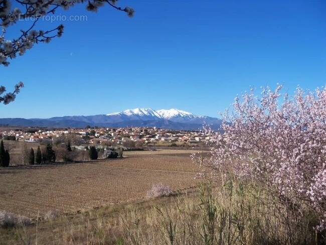 Terrain à PONTEILLA