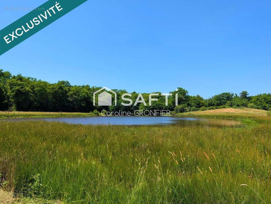 Maison 380 m² à Gilly-Sur-Loire  - photo 9