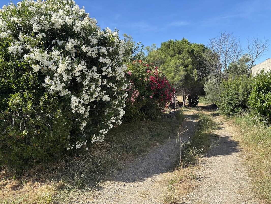 Charmante maison de village sur un terrain de 5 000 m², dans un environnement calme - photo 11