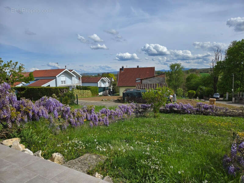 Maison à BUSCHWILLER